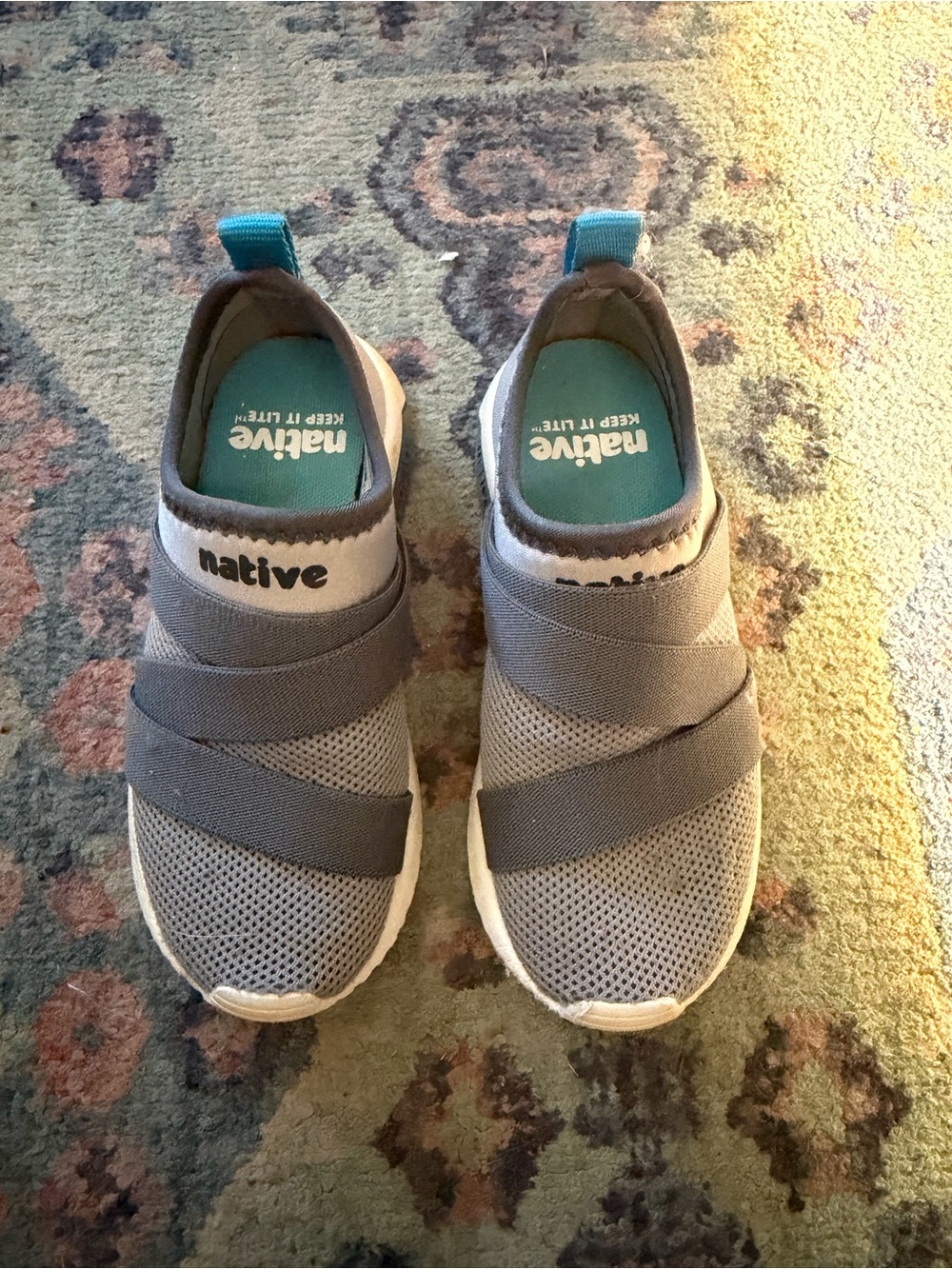 Native Slip-On Shoe in Teal and Gray